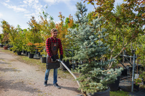  Brownstown, IN Tree Removal and Landscaping Services Pros